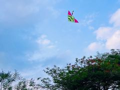 -深圳龙潭公园