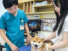 -美联众合动物医院·24h京西诊疗中心