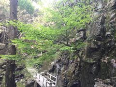 -藏龙百瀑风景区