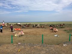 -青海湖国家重点风景名胜区