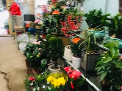 -金陵花卉交易市场