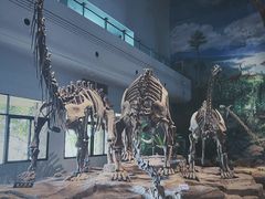 -自贡恐龙博物馆