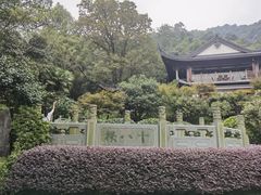 -十八棵（老龙井）御茶园(老龙井店)