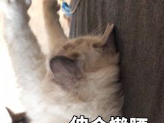 -诺丁牛排披萨自助餐厅(汕头苏宁店)