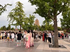 -大雁塔北广场音乐喷泉