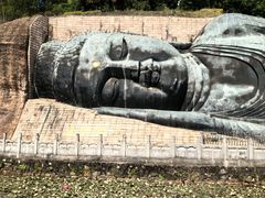 -三水森林公园