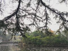 -四川大学(望江校区)