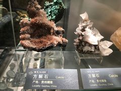 -中国地质博物馆