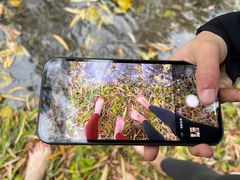 -森林公园(尖草坪区)