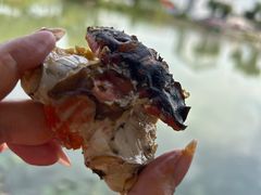 -水岸居湖景农家乐·阳澄湖大闸蟹