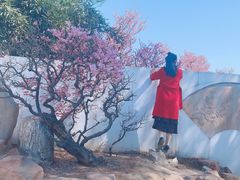 -石家庄市植物园