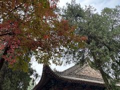 -兴教寺