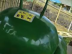 -南昌之星游乐场