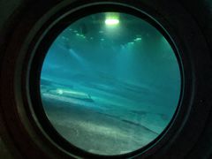 -白鹤梁水下博物馆