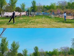 -TIPPI营地 房车主题·露营烧烤团建轰趴(天安假日店)