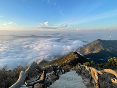 -梧桐山风景名胜区