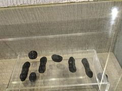 -延庆地质公园博物馆