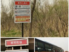 -东营胜利机场