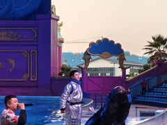 -横店影视城梦幻谷园区