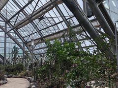 -南山植物园