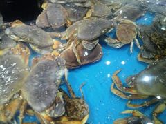 -盒马鲜生(联投广场店)