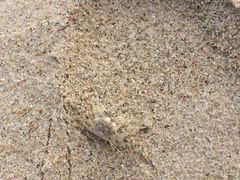 -西涌国际滨海旅游区