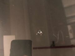 -圣手汽车凹陷修复玻璃修复(上海店)