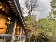 -山外山菜馆(玉泉路店)