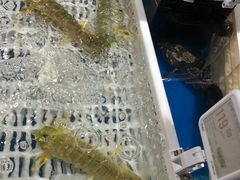 -盒马鲜生(昆城店)