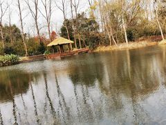 -溱湖国家湿地公园