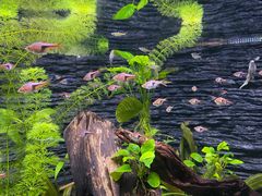 -上海海洋水族馆