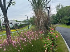 -梁鸿国家湿地公园