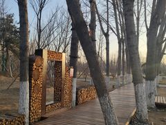 -回龙观体育文化公园