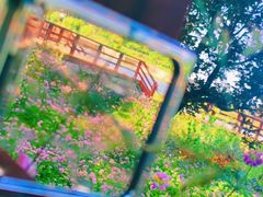 -田峪河公园
