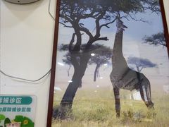 -美联众合动物医院·24h转诊中心