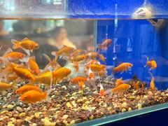-蚝翅·海鲜粥·烧烤·龙虾季(海曙天一店)