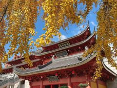-上海东林寺(金山区)