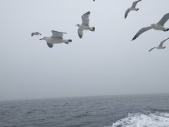-海驴岛(荣成市)
