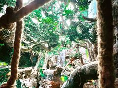 -多彩贵州城极地海洋世界