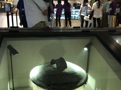 -1868 Café(上海自然博物馆店)