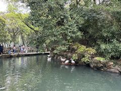 -兰亭风景区
