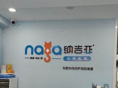 -纳吉亚猫专科动物诊疗中心(蒋宅口分院)