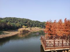 -同里国家湿地公园