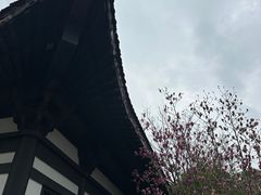 -洋湖国家湿地公园