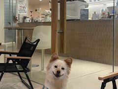 -Oasis coffee燕谷咖啡(公信店)