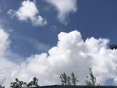 -江天生态园餐厅