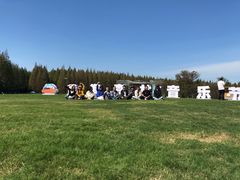 -黄海国家森林公园