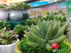 -新汇大融城