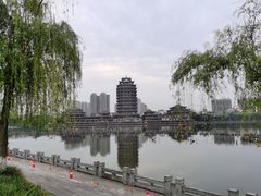 -眉山湿地公园(东坡区)