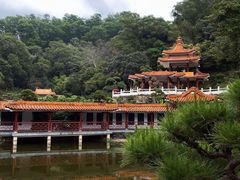-深圳仙湖植物园-停车场